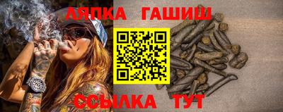 spice Заволжье