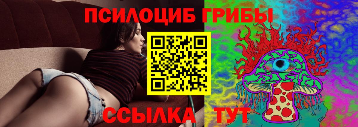 Галлюциногенные грибы Cubensis  Вход с VPN  Кулебаки 